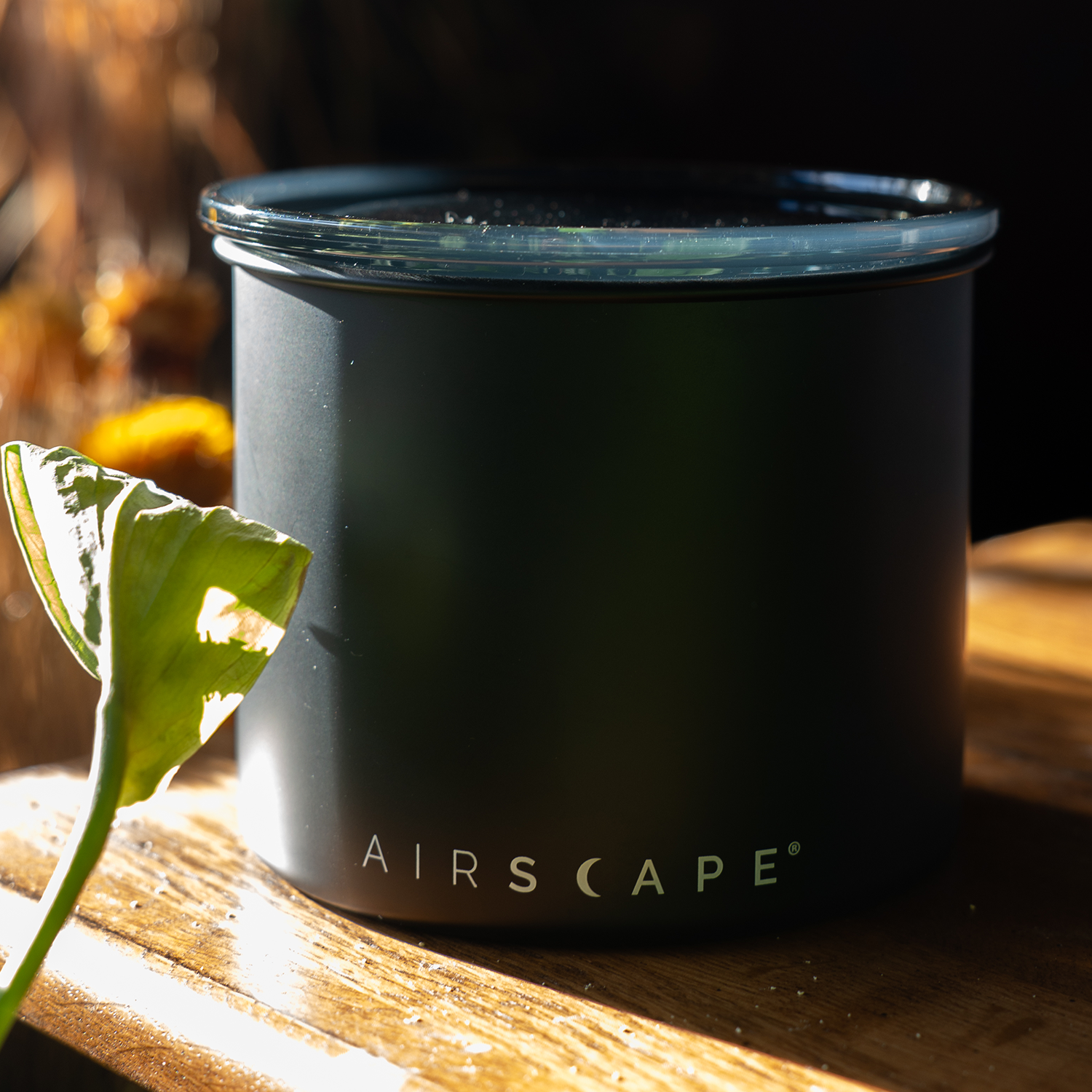 airscape-coffee-enthusiast-bundle-kaffeedish-250g-500g-set image 6