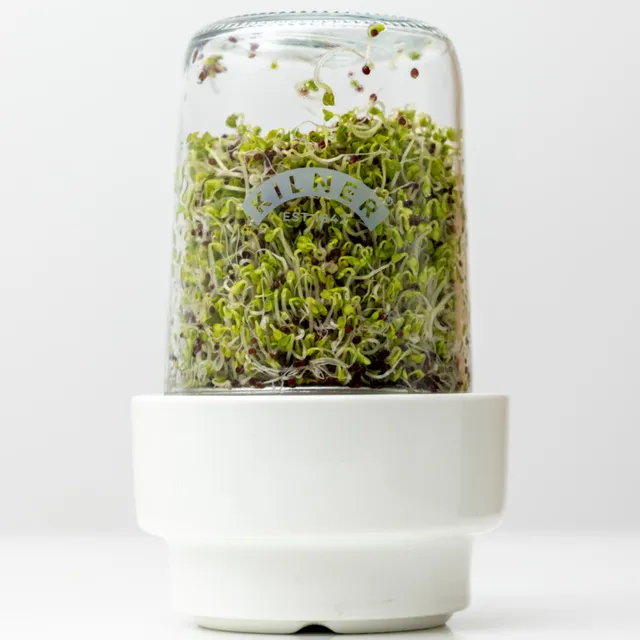 kilner-create-and-make-sprouting-keimglas-set-keramikschale image 1